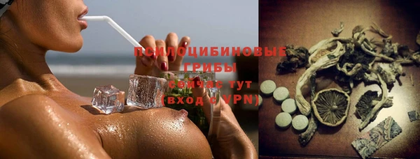 a pvp Богородицк